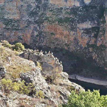 La Cerca Entre Hoces-10-20pax-amplios Espacios Comunes *